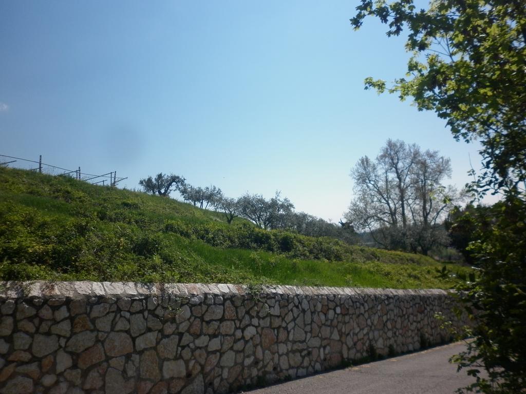 Ferienwohnung La Piccola Mimosa SantʼAmbrogio di Valpolicella Exterior foto