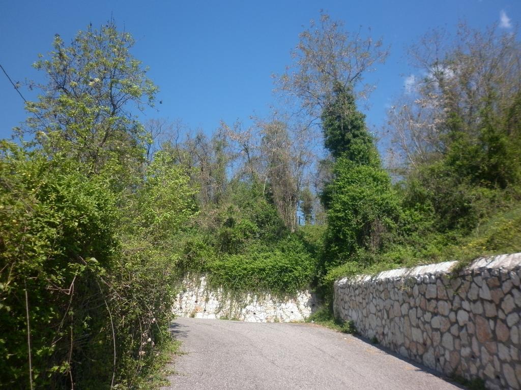 Ferienwohnung La Piccola Mimosa SantʼAmbrogio di Valpolicella Exterior foto